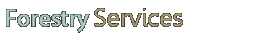 Forestry Services