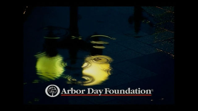 Click here to watch the Arbor day video