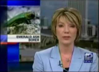 Click here to watch the Emerald Ash Borer video