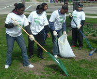 PROJECT CLEAN & GREEN