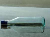 Prevent Storm Water Pollution