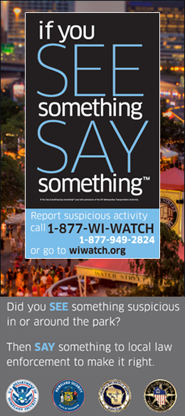 If You See Something Say Something 