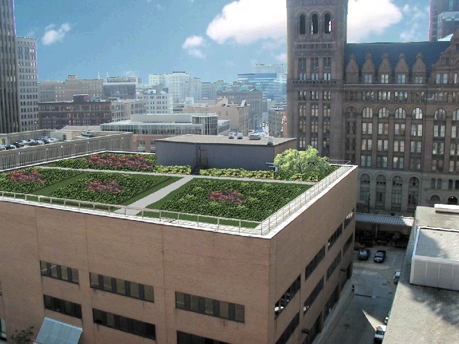 Rendering of green roof at 809 N. Broadway