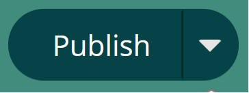 Publish button screenshot
