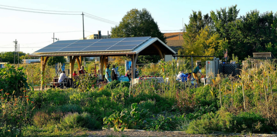 Climate and Environmental Sustainability