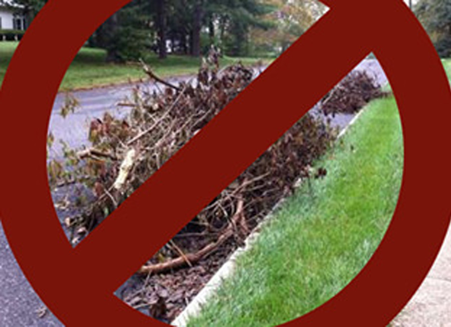 Image of tree branches in the street at the curb, with a circle-and-slash graphic over top.