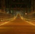 Marsupial Bridge