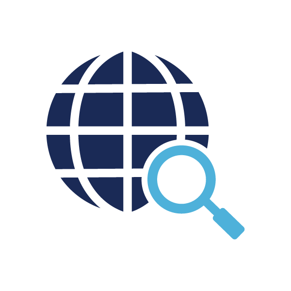 Web Search
