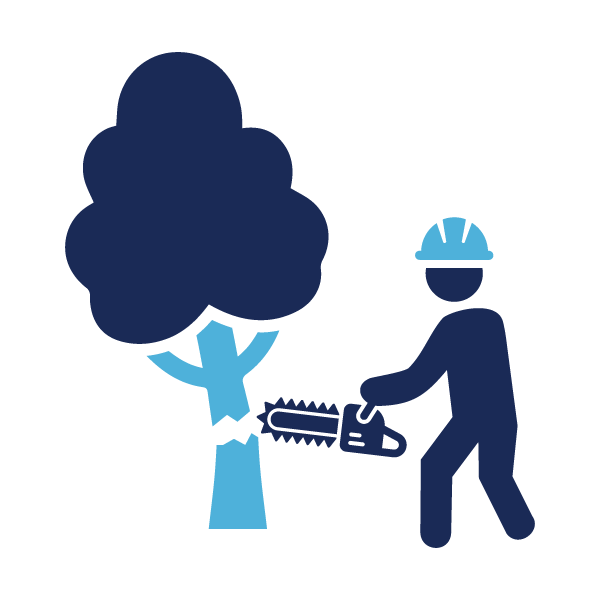 Tree Removal