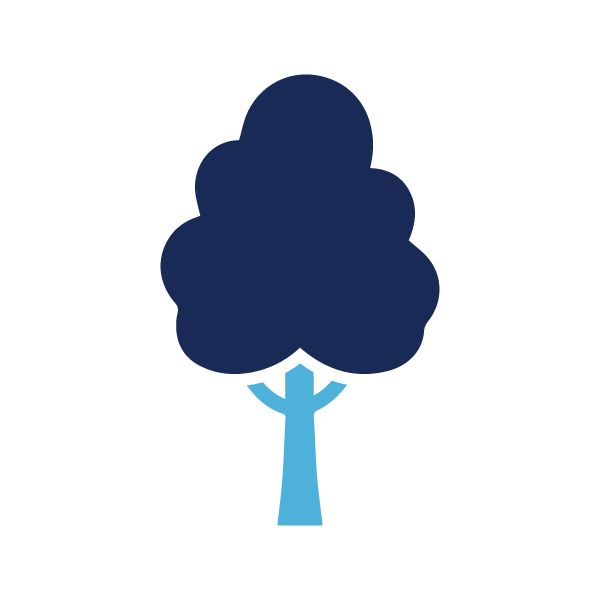 Deciduous Tree
