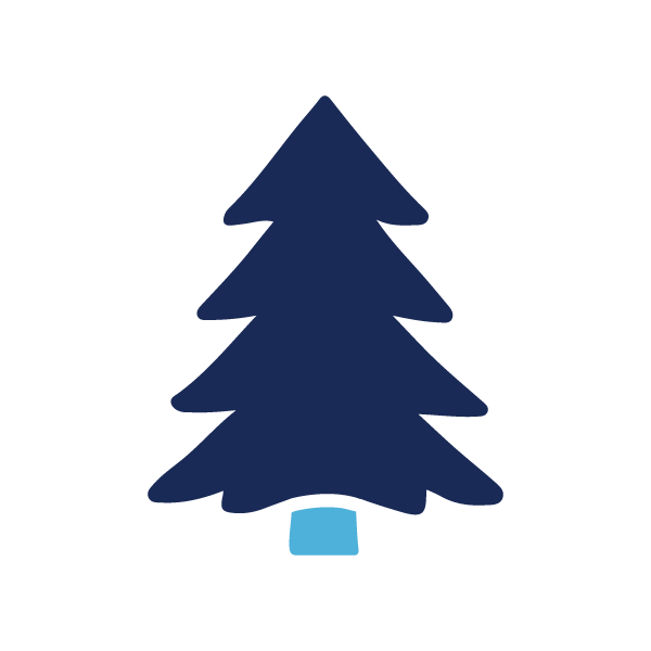 Evergreen Tree