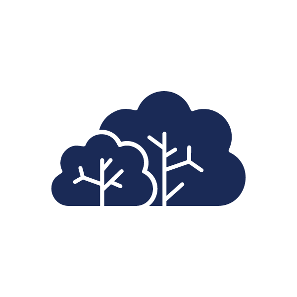 Shrub