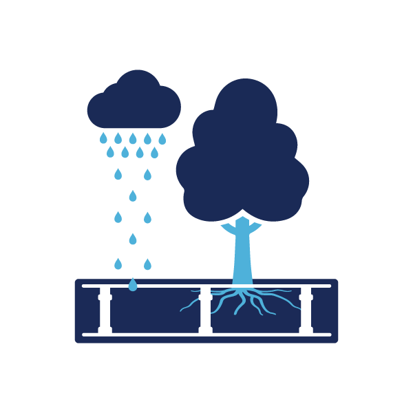 Stormwater Trees
