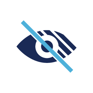 Accessibility Vision