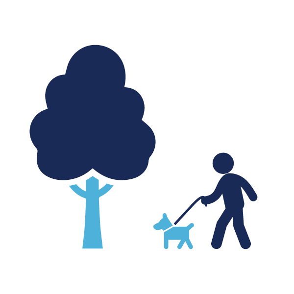 Dog Park