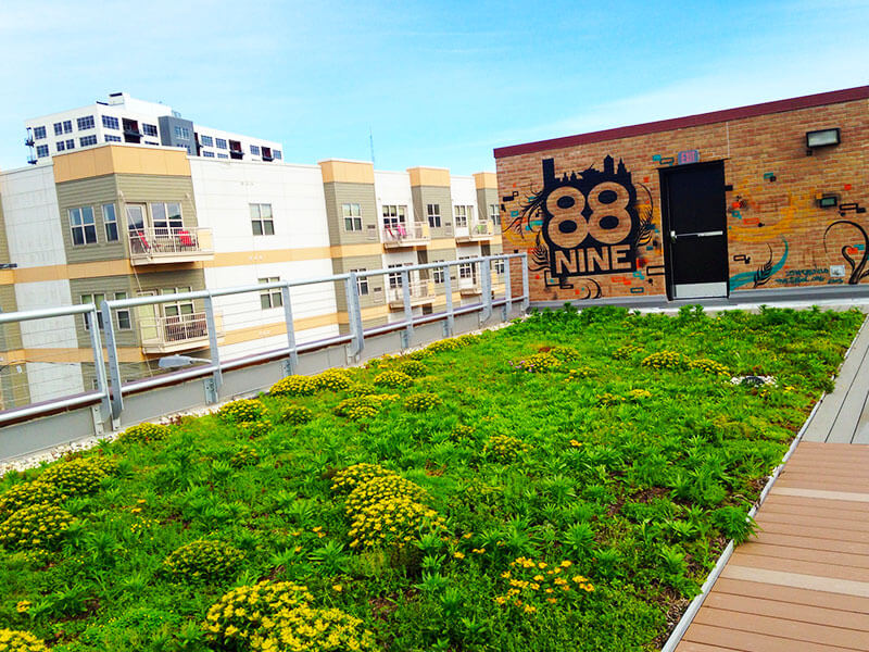 Green roof on a building