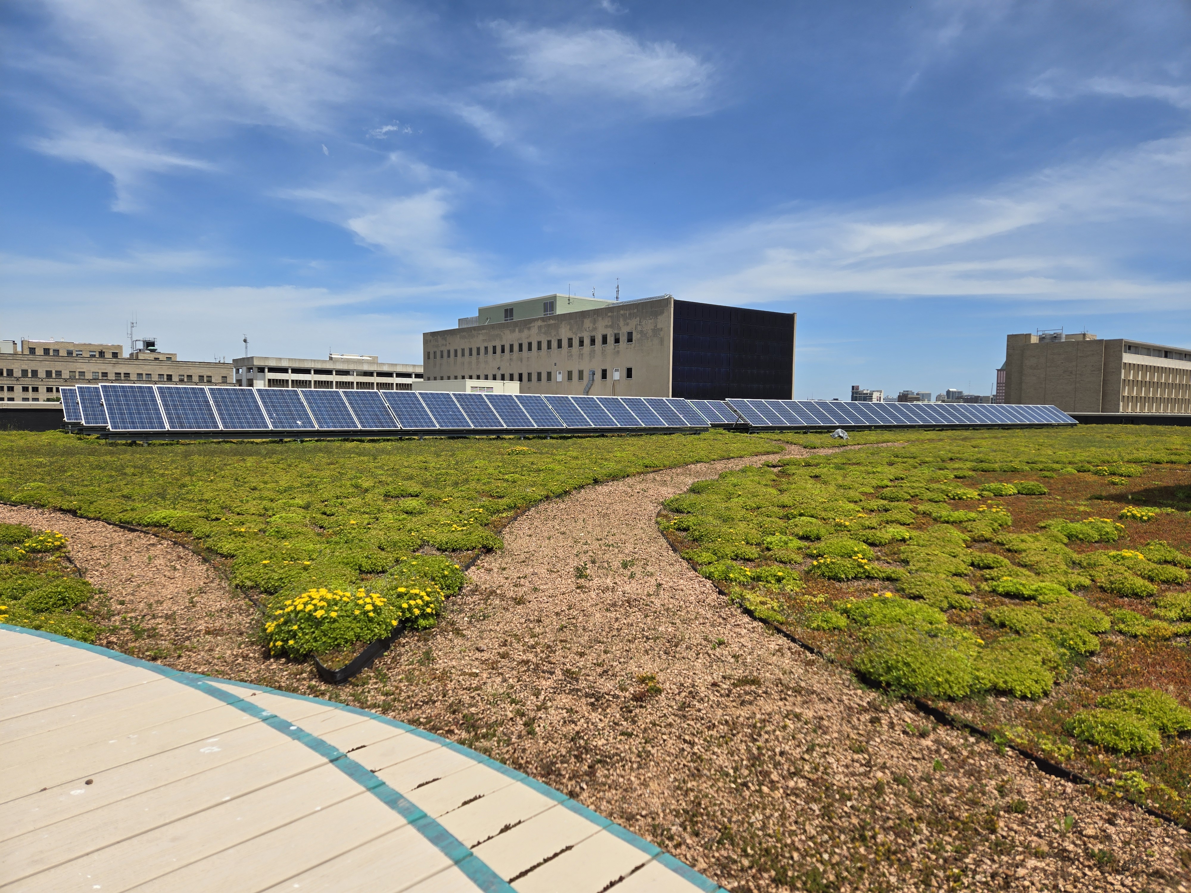 Central Library older solar and green roof