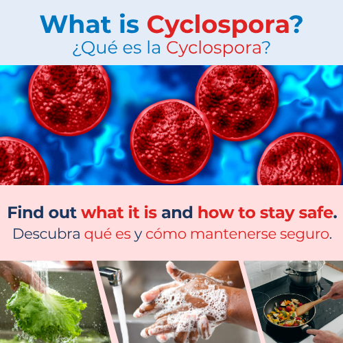 Cyclospora Information, Información sobre Cyclospora