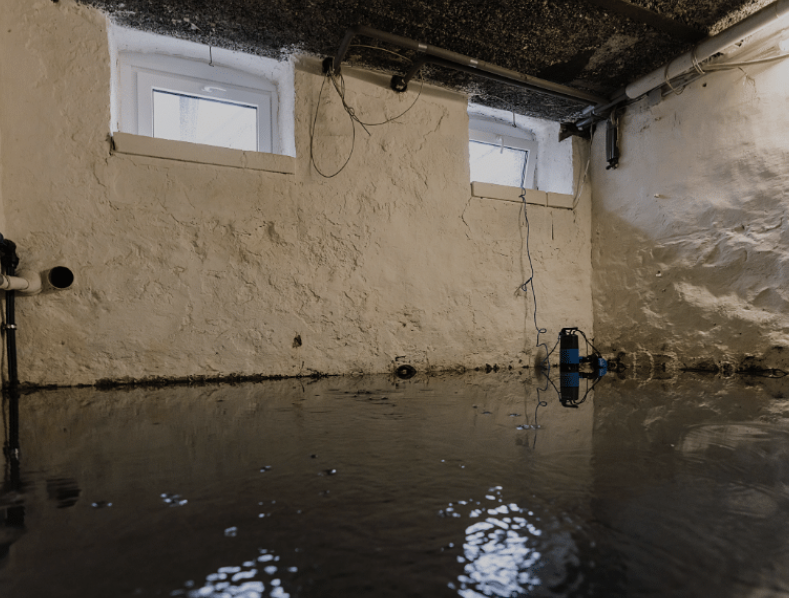 Photo of a flooded basement