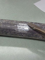 Image of a water pipe before the shutoff valve or meter